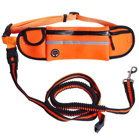 Fanny Pack with Dog Leash
